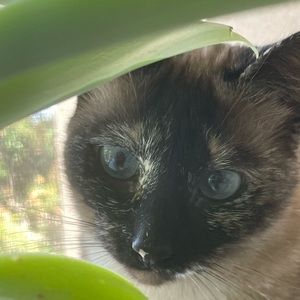 Meet your Posher, Lani